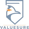 ValueSure Agency, Inc.