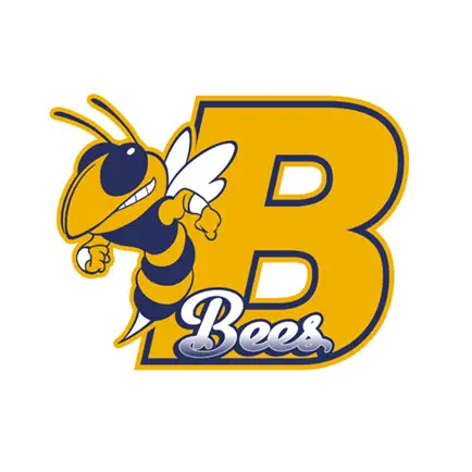 Bolton Elementary Читы