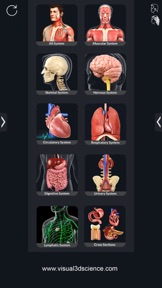Human Anatomy screenshot