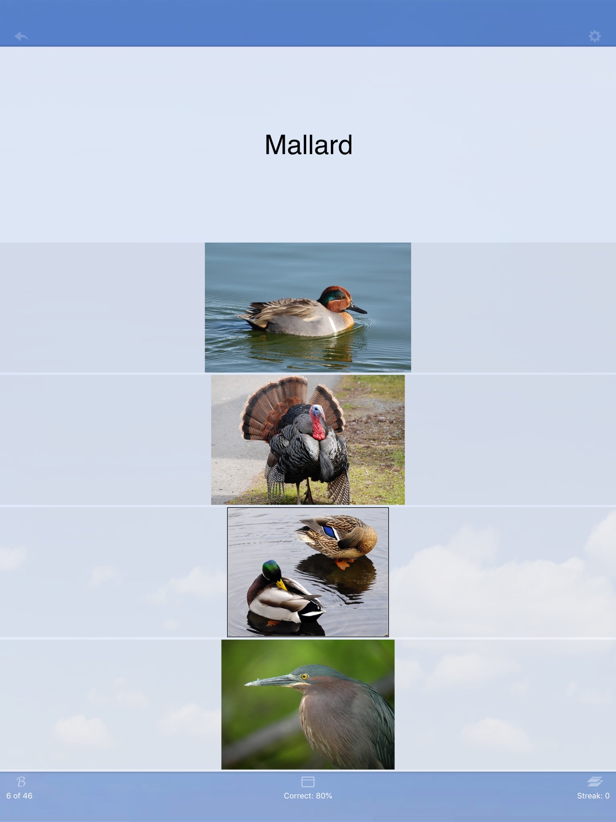 Flashcards Deluxe Lite ipad screenshot 2
