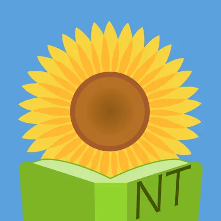 Daily New Testament Vocab Читы