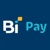 BI Pay Wallet icon