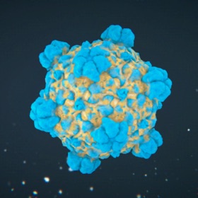 螢幕擷取畫面 (5) Viruses Study