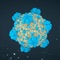 3D Virus Models is an innovative and fascinating application that allows users to explore and visualize various viruses in three-dimensional space, and the application also offers a unique opportunity to delve into the world of Viruses and explore their structure and features