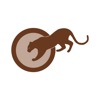 Panthera Ladys Gym App icon