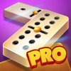 Icon Dominoes Pro Offline or Online