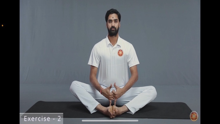Datta Kriya Yoga screenshot-6