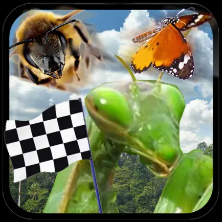 Insect Race Читы