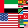 World's Flag icon