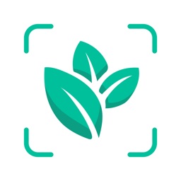 Plant Identifier - Plant
