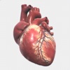 CardioShowroom (CSR) icon