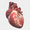 CardioShowroom (CSR) - Cardiolectra GmbH