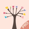 Sketch Tree Pro - My Art Pad - iPadアプリ