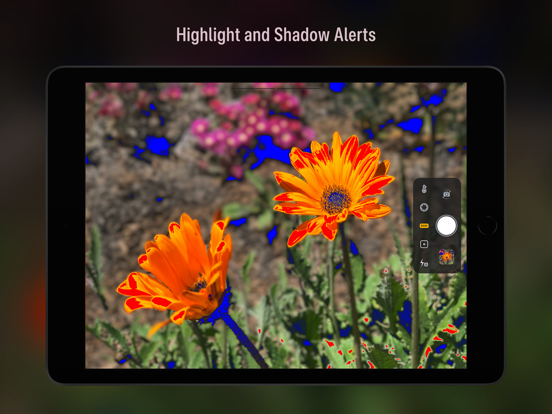 Camera M - Handmatige camera iPad app afbeelding 6