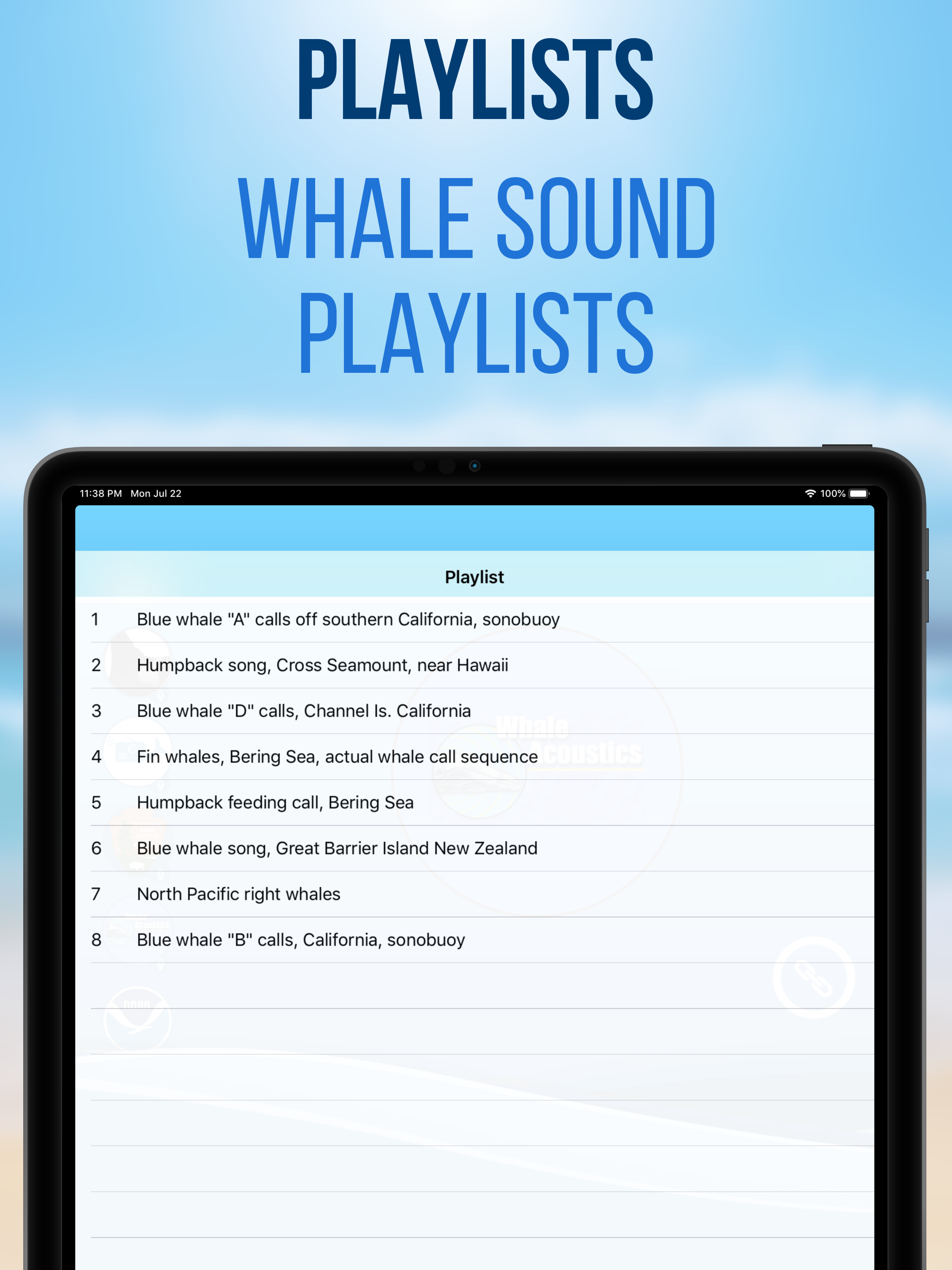 Whale Radio screenshot 9