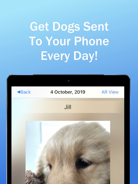 Dog of the Day iPad screenshot 2 - Entertainment app