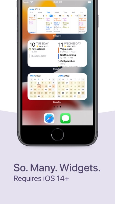 BusyCal: Calendar & Tasks Screenshot