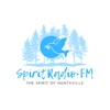 Spirit Radio FM icon
