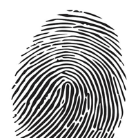 Global Tribe Vision Mentor