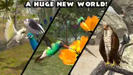 ultimate bird simulator problems & solutions and troubleshooting guide - 3