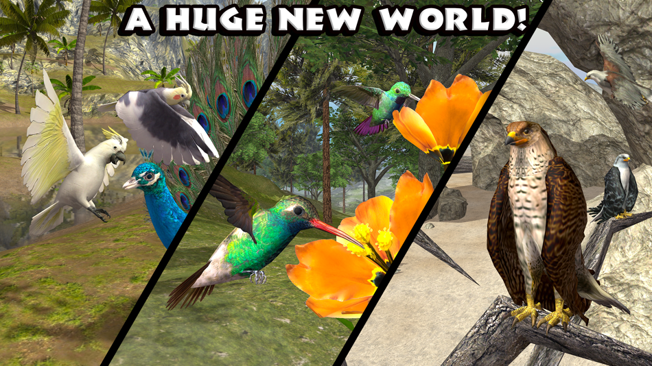 #5. Ultimate Bird Simulator (iOS) Bởi: Gluten Free Games