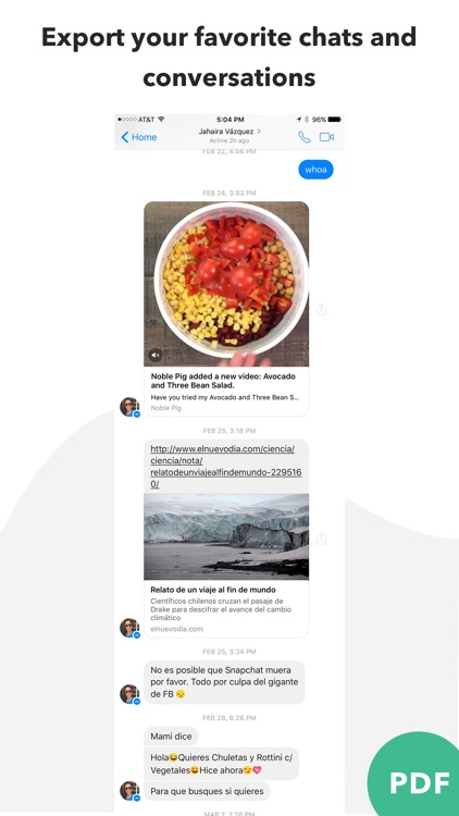 Messages and Chat Export PDF screenshot-3