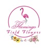 Get Flamingo Flowers فلامينكوللورد for iOS, iPhone, iPad Aso Report