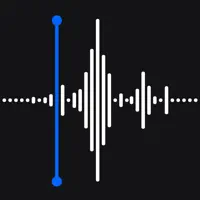 Voice Recorder - AI Transcribe