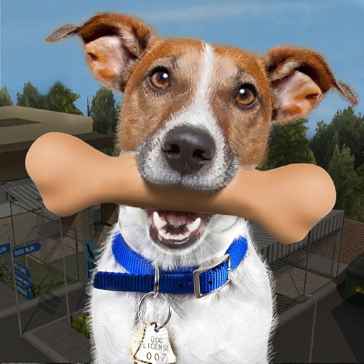 Animal Rescue - Dog Simulator Icon