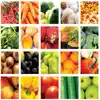 Human Nutrition Quizzes Positive Reviews, comments