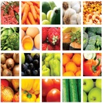 Download Human Nutrition Quizzes app