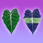 Download Light necessary Photosynthesis app