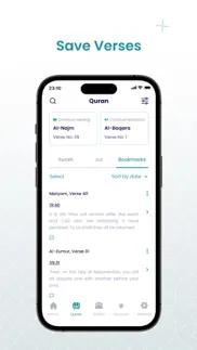 the holy quran - english iphone screenshot 3