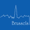 Brussels Travel Guide . icon