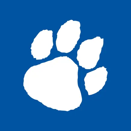Brainerd Baptist School Читы