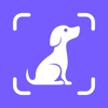 Icon Dog Pal - Training & Breed ID
