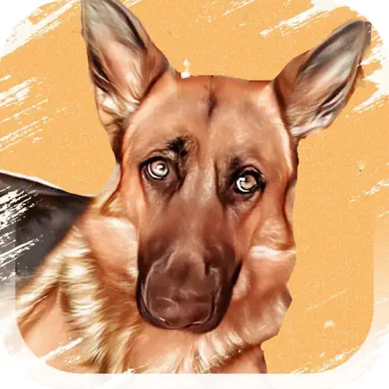 Dog Breeds Identifier Cheats