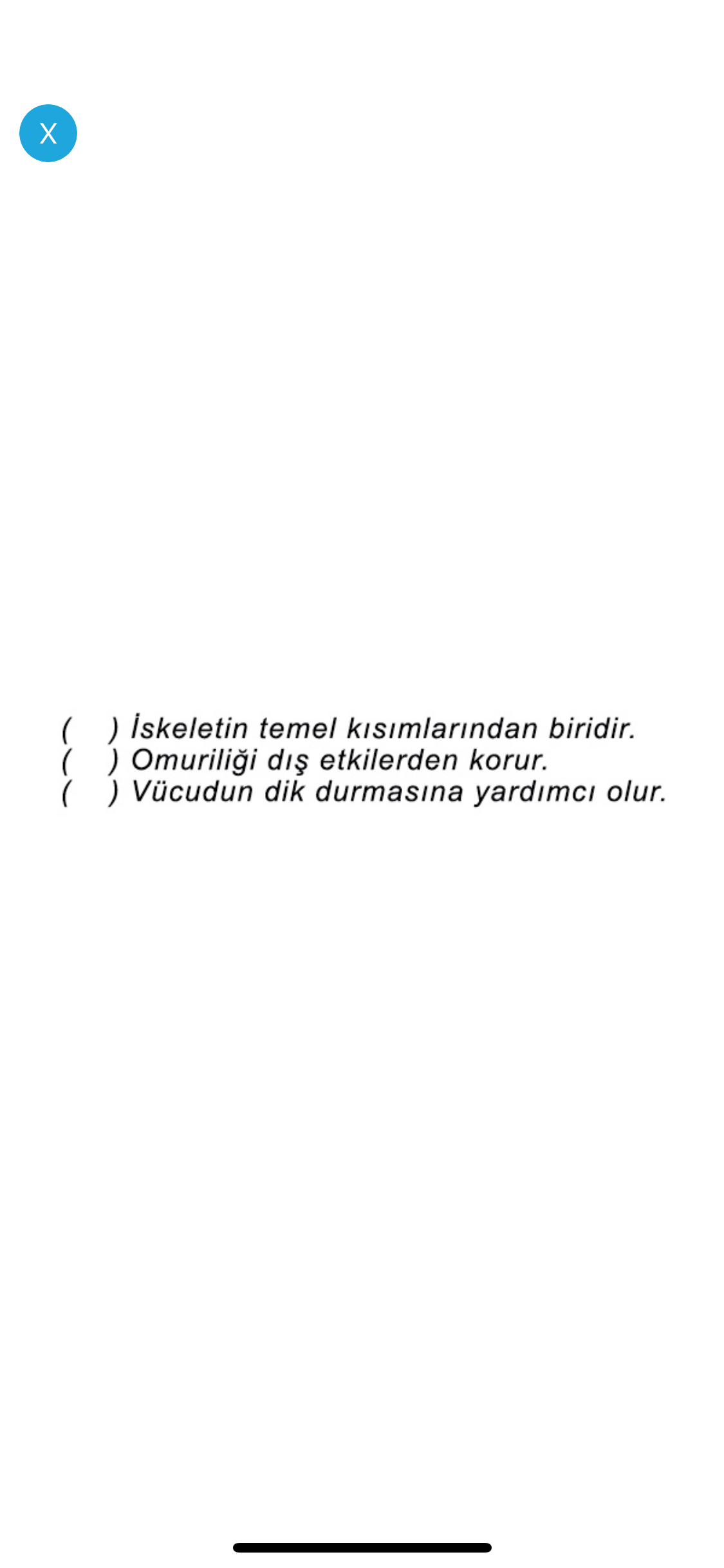 Test Merkezi İlkokul 4.Sınıf screenshot 4