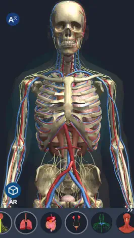 Game screenshot Human Anatomy 3D mod apk