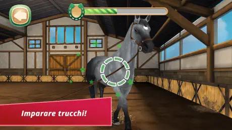 Horse Hotel - Soin des chevaux