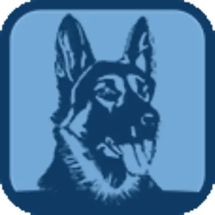 RAM K9 Training Читы