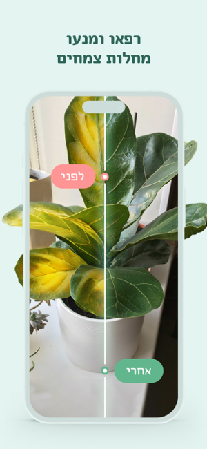 ‎Blossom - זיהוי צמחים Screenshot