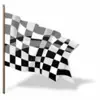 Racing Schedule for NASCAR App Delete