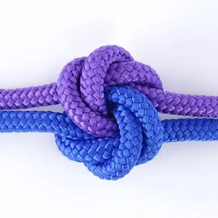 Knots: Knots Guide Cheats