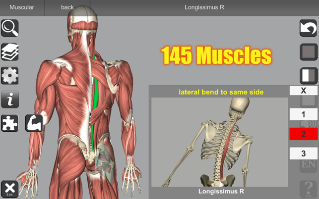 ‎Captura de tela de anatomia 3D