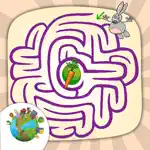 Classic Mazes Find the Exit App Positive Reviews