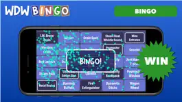 Game screenshot WDW Bingo apk