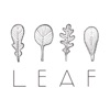Leaf - Brooklyn icon