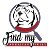 Find My American Bully