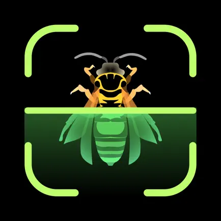Insect Identifier Читы